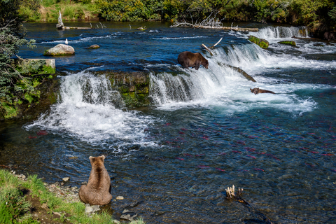 Katmai Wilderness, Alaska