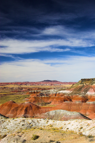 Petrified National Forest Arizona