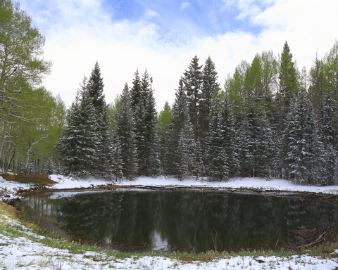 Mueller State Park Colorado