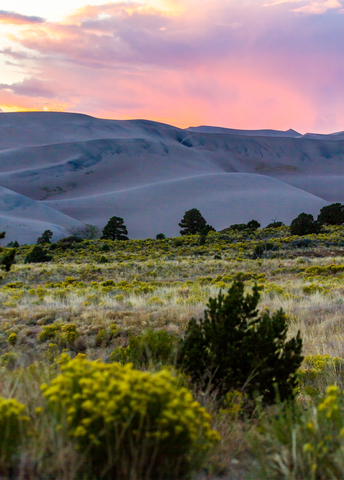 Sand Dunes National Park and Preserve