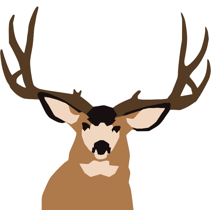 Odocoileus, Mule and white tail deer