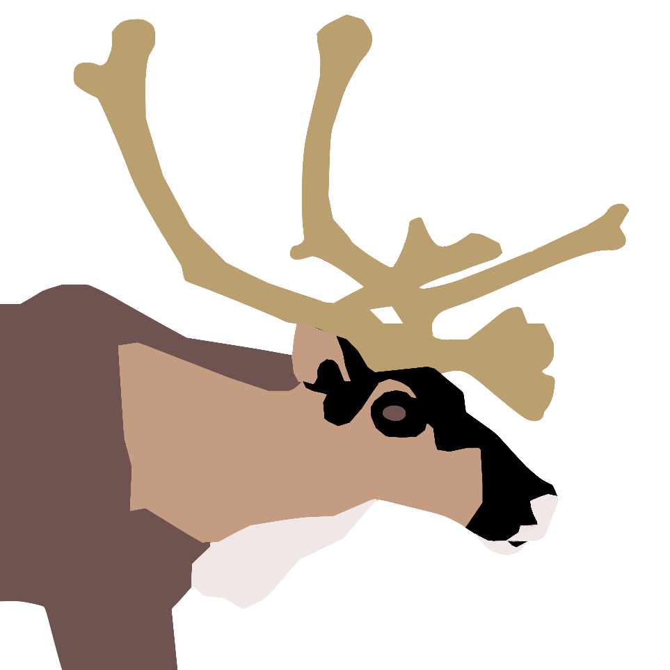Reindeer or rangifer deer or caribou