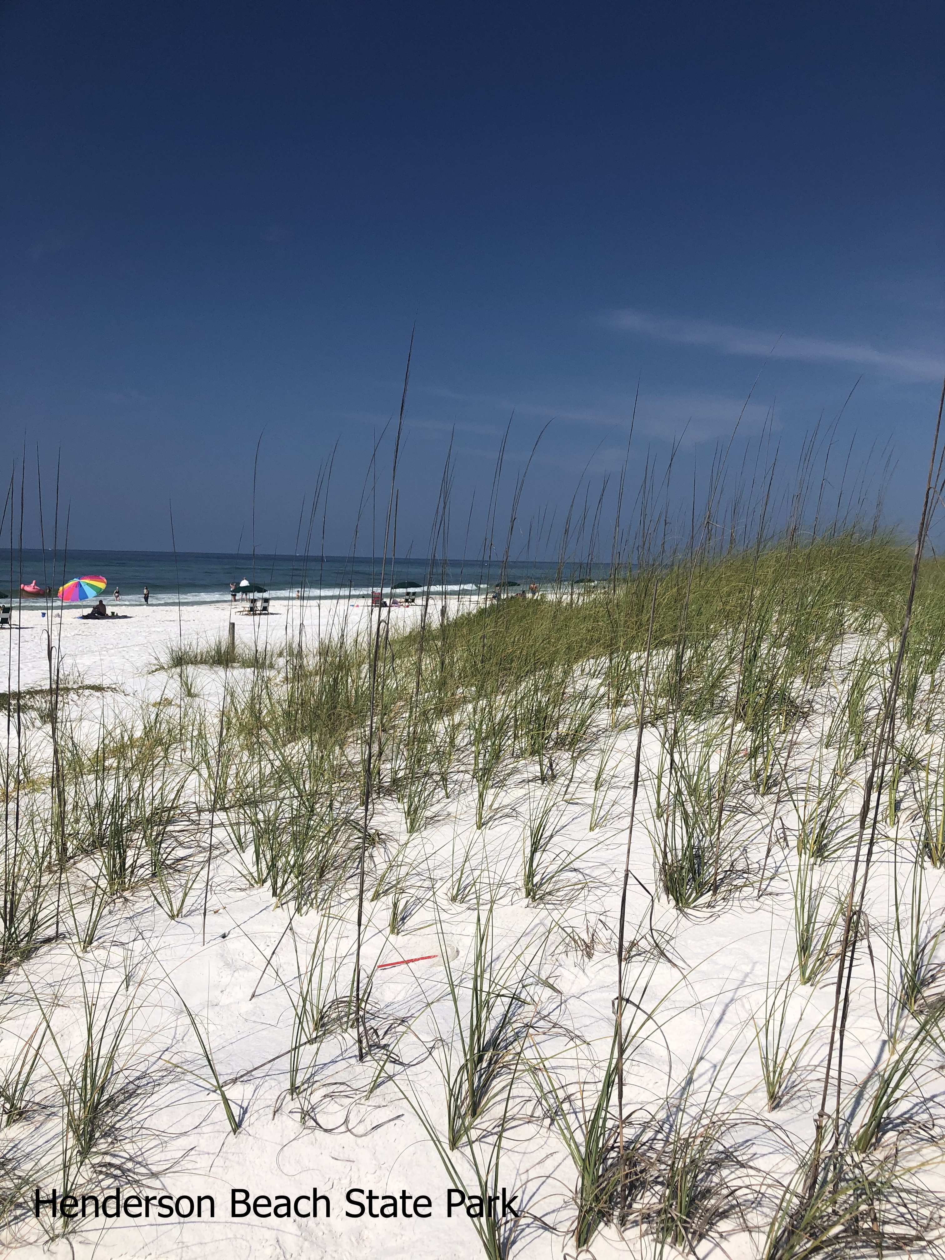 Henderson Beach State Park Dunes and beach