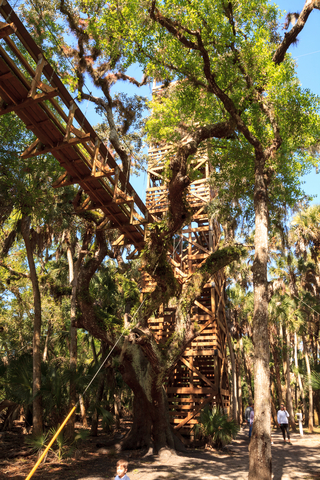 Tree top trail in Myakka River State Park, Florida