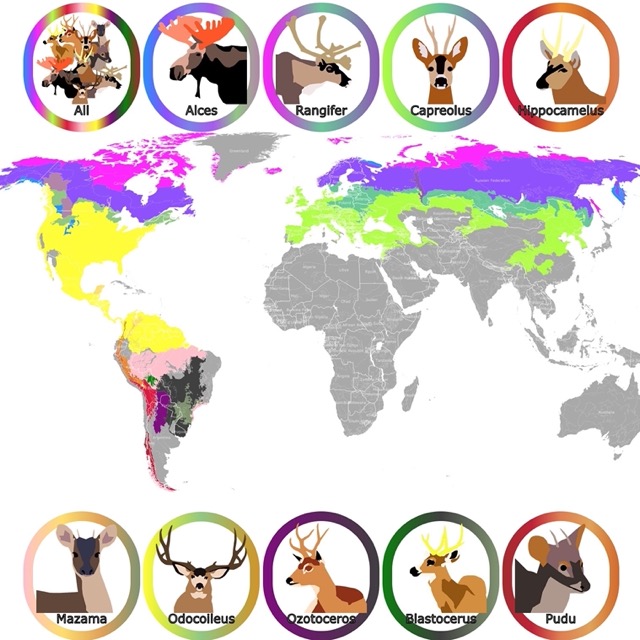 World Map of Deer Geographic Range