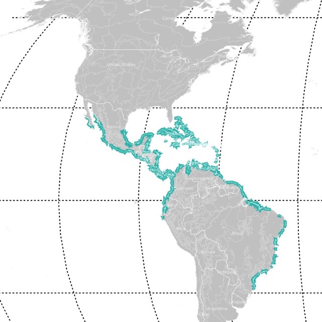 Map of Mangrove Forests Worldwide