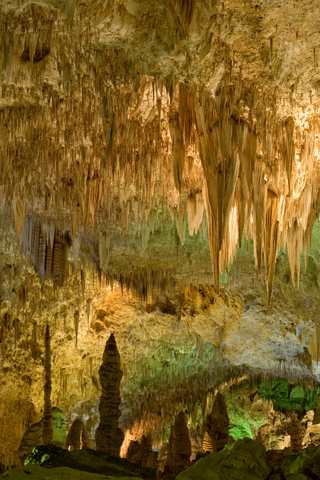 Carlsbad Caverns National Park NM