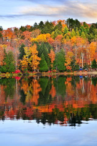 Algonquin Provincial Park, Ontario