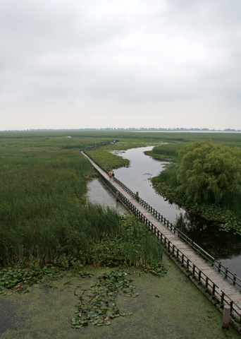 Point Pelee National Park, Ontario