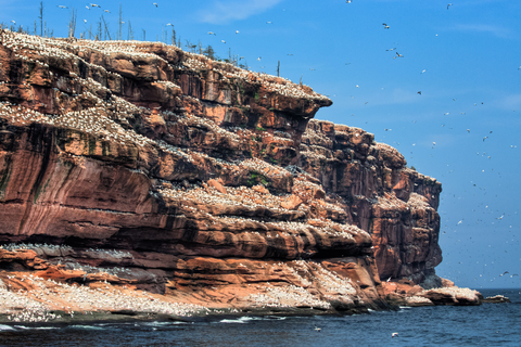 Bonaventure National Park, Quebec