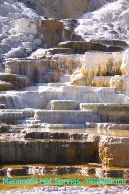 Mammoth hot spring Yellowstone National Park
