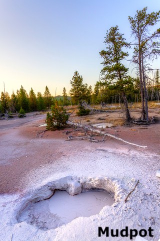 mudpot hot spring Yellowstone national Park